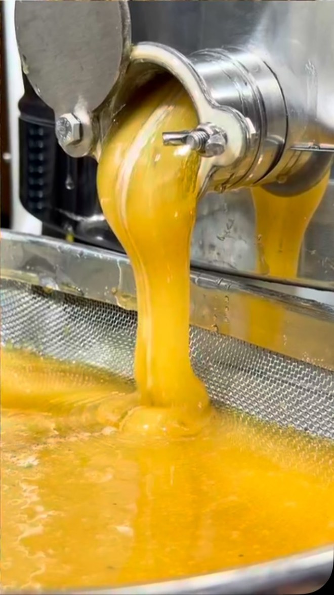 Raw honey pouring from the extractor into a strainer